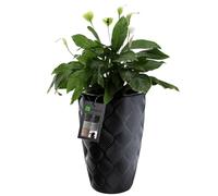 KADAX Tall Plant Pot, Large Flower Pot for Outdoor and Indoor Use, Plastic House Plant Pot with Insert, Weather-Resistant Flowerpot (Black, 48.5 cm)