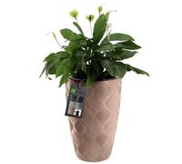 KADAX Tall Plant Pot, Large Flower Pot for Outdoor and Indoor Use, Plastic House Plant Pot with Insert, Weather-Resistant Flowerpot (Beige, 48.5 cm)