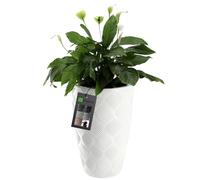KADAX Tall Plant Pot, Large Flower Pot for Outdoor and Indoor Use, Plastic House Plant Pot with Insert, Weather-Resistant Flowerpot (White, 48.5 cm)