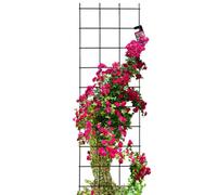 Kadax Trellis Steel Trellis Wall Support For Plants Garden Balcony Patio Wire Mesh Climbing Aid Plant Grid Trellis (49 X 155 Cm)