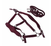 Kadimendium Horse Halter Set Comfortable Anti Rubbing Adjustable for Training Daily, Soft Padded Horse Leash for Training Bridle, 2m Halter Leash for Jogging (Large)