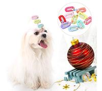 Kadimendium Pet Hairpins with Flower Design 10Pcs for Dogs and Cats