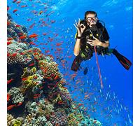 Kadimendium Scuba Diving Aluminum Alloy Tickle Pointer Stick for Underwater Exploration with Adjustable Lanyard, Black/Blue/Pink/Red/Silver/Golden, Ideal for Divers (Red)