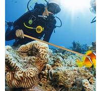 Kadimendium Scuba Diving Aluminum Alloy Tickle Pointer Stick for Underwater Exploration with Adjustable Lanyard, Black/Blue/Pink/Red/Silver/Golden, Ideal for Divers (Gold)