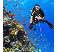 Kadimendium Scuba Diving Aluminum Alloy Tickle Pointer Stick for Underwater Exploration with Adjustable Lanyard, Black/Blue/Pink/Red/Silver/Golden, Ideal for Divers (Pink)