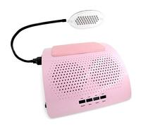 KADS Nail Dust Collector Manicure Machine Two Fans with Light, 40w High Power Professional Salon Vacuum Cleaner DIY Fingernail Art Design Tools