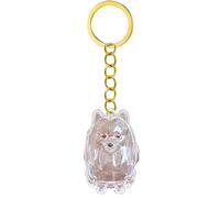 Kaeltsyn 2 Lightweight Pet Memorial Keychain Compact Clear Case for Dog Hair & Cremation Ashes Storage On-the-Go Clear Memorial Box Keychain