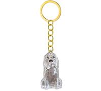 Kaeltsyn 2 Lightweight Pet Memorial Keychain Compact Clear Case for Dog Hair & Cremation Ashes Storage On-the-Go Clear Memorial Box Keychain