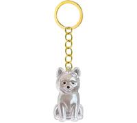 Kaeltsyn 2 Lightweight Pet Memorial Keychain Compact Clear Case for Dog Hair & Cremation Ashes Storage On-the-Go Clear Memorial Box Keychain