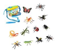 Kaeltsyn Animal Replicas for Developing Cognitive Skills and Imagination Classroom Science Dolls