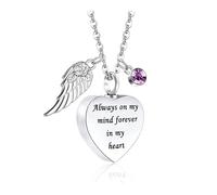 Kaeltsyn Pet Necklace Its Urn to Carry Loved Ashes Always Ashes