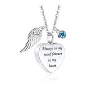 Kaeltsyn Pet Necklace Its Urn to Carry Loved Ashes Always Ashes