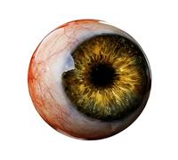 Kaeltsyn Resin Eyeballs Sculpture Scary Eye Model Figure for Horror Project and Unique Home Haunted Room Decorative Accessories Realistic Eyeballs Decoration