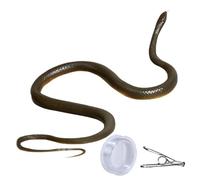 Kaeltsyn Snake Prank with String Clip Novelty Clip on Toy Trick Toy AprilFools Halloween Gadgets String