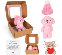 Kaempe Worry Bear in a Box, Little Worry Bear Pocket Hug Gift Fluffie Handmade Plush Mini Teddy Bear Doll, Tiny Positive for Friends (Pink)