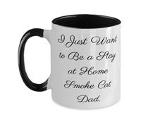Kaenue I Just Want to Be A Stay At Home Smoke Cat Dad Two Tone 11Oz Mug, Double Sided Print, Pet Lover Quote, Novelty Cup from Friends