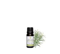 Kaeso Aromatherapy Essential Oil, Tea Tree 10 ml