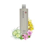 Kaeso Rebalancing Toner 495ml