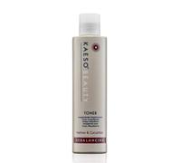 Kaeso Rebalancing Toner 495ml