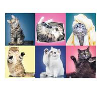 Trefl 916 37377 Kätzchen EA 500 Teile, Premium Quality, für Erwachsene und Kinder ab 10 Jahren 500pcs Kittens