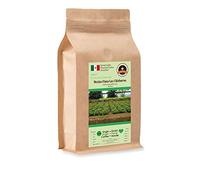 Kaffee Globetrotter - Coffee with Heart - Mexico Finca Las Chicharras - 1000g fine ground - for espresso maker, espresso machine - premium fair trade coffee, supports social projects