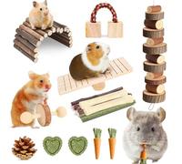 Kagoty 20 PCS Hamster Toys Set Natural Dental Care & Boredom Relief; Apple Wood Bridge Seesaw Chew Sticks for Guinea Pigs Chinchillas Small Pets