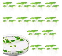 KAHDGSS 2 Pack Floating Artificial Duckweed Fish Tanks Decorations Sunlight Barrier Algae Control Solution Fish Tanks Decors With Roots