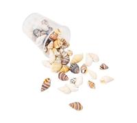 KAHDGSS Natural Conch Shells Art Supplies Conch Shell Craft Collection For Home Decoration And Creative Projects Seashells Jewelry Component