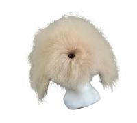 KAHDGSS Professional Pet Grooming Practice Head Model with Soft Synthetic Wigs Hair for Styling and Coloring Trimming Training Faux Dog Hair for Grooming