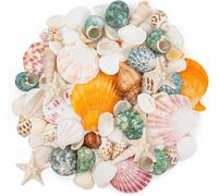 KAHEIGN 15 Kinds Sea Shell Mixed Ocean Shells, 600g 3-7CM Various Sizes Natural Seashell Starfish Fish Tank Vase Fillers for Beach Theme Party DIY Crafts Home Wedding Decorations