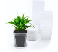 KAHEIGN 24Pcs Clear Square Plant Pots, 7CM Thicken Plastic Flower Pots Succulent Planter Nursery Pots with Pallet/Trays for Small Potted Plants