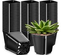 KAHEIGN 50Pcs Square Plant Pots, 10CM Thick Plastic Flower Pots Succulent Planter Nursery Pots with Drainage Holes for Small Potted Plants (Black)
