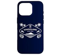 Kahoolawe South Seas Sea Turtle Palm Trees Souvenir Hawaii Case for iPhone 16 Pro