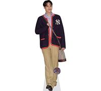 Kai (EXO K) Mini Size Cutout