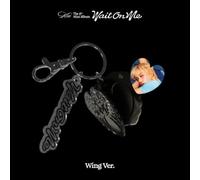 Kai - Wait On Me - Wing Version - in ase Keyring, Logo Keyring, Music NFC Card + Photocard