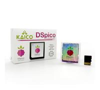 Kaico DSPico DS Flash Cart/Flash Card (R4 Upgrade) for Nintendo DS/DSi - 8GB MicroSD Included, LNH Open-Source RP2040 Design, Dual Power, 6MB/s SD Read, DS Mode & Pico Launcher Support