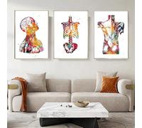 KAIDAARTLH Abstract Medicine Anatomy Poster, Human Muscle System Poster Set, Medical Art Wall Clinic Hospital Art Medical Office, Unframed (B, 3x30x40cm)