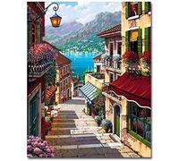 Kaieteur Painting by Number Kits for Kids or Beginner, DIY Canvas Oil Painting Kit for Adult with Paint Brushes Acrylic Pigment Drawing Paintwork 16x20inch Without Frame (Street Step)