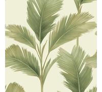 Kailani Sage Cream Wallpaper - Tropical Botanical Jungle Leaf - Modern Contemporary Stylish Feature Wall