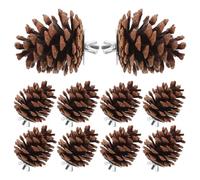 KAILIKETIY 10pcs Natural Pine Cone Bird Chew for Parakeets and Parrots, Hard to Scratch Hanging Design, Suitable for Birdcage Use, Fun and Interesting Budgie Foraging Accessories