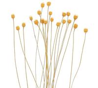 KAILIKETIY 20Pcs Natural Rattan Diffuser Sticks for Essential Oils Home Fragrance Decor Quick Absorption Release for Bedrooms Offices Yoga Rooms
