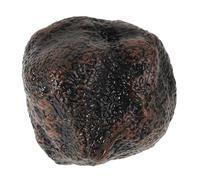 KAILIKETIY Educational Black Truffle Simulation Model Realistic Kitchen for Roleplay Enhance Cognitive Skills Food Recognition for Preschool Learning Activities