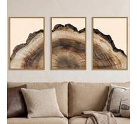 KAIRNE Vintage Tree Rings Framed Canvas Wall Art Set, Retro Wood Stump Wall Decor, Neutral Tree Spiral Art Prints, Modern Annual Ring Artwork for Living Room, Bedroom, Farmhouse, Office-24 x36 x3