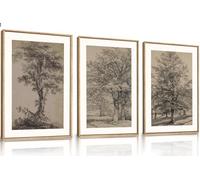 KAIRNE Vintage Tree Sketch Framed Canvas Wall Art Set, Antique Tree Drawings Wall Decor, Retro Forest Art Prints, Modern Nature Landscape Artwork for Living Room, Bedroom, Farmhouse, Office-24 x36 x3