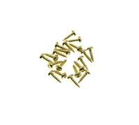 KAISH 20-Pack Premium Stainless Steel American #2 x 1/4" Phillips Head Guitar Truss Rod Cover Screws for Import Les Paul LP/SG or other Guitars Gold