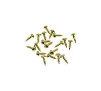KAISH 20-Pack Premium Stainless Steel American #3 x 1/4" Phillips Head Guitar Truss Rod Cover Screws for USA Les Paul LP/SG Gold