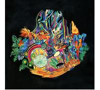 Kaitlyn Aurelia Smith Ears (Vinyl) 12" Album (US IMPORT)