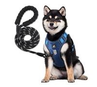 KAIYIKAPET Dog Harness Set with Heavy Duty 5ft Leash, No Pull Dog Harness for Medium to Large Dogs, Reflective No-Choke Oxford Vest with Easy Control Handle for Training or Walking