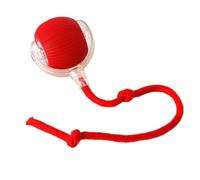 Kaiyo Cat Toy Ball with Rope, Red Silicone, 6 cm | Interactive Play, 15.75 inch Rope, Textured Surface, Boredom Relief, Indoor Use