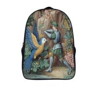 kaiyun 14th Century Robber Fights Giant Parrot Backpack Rucksack Lightweight with School Bag for Boys And Girls Kids Bags Christmas,Back to School Gift,39x29x16cm